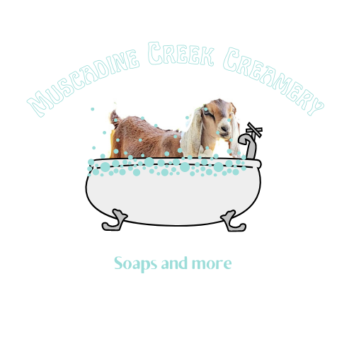 All about Butters! Why we use Shea butter in all our soaps!