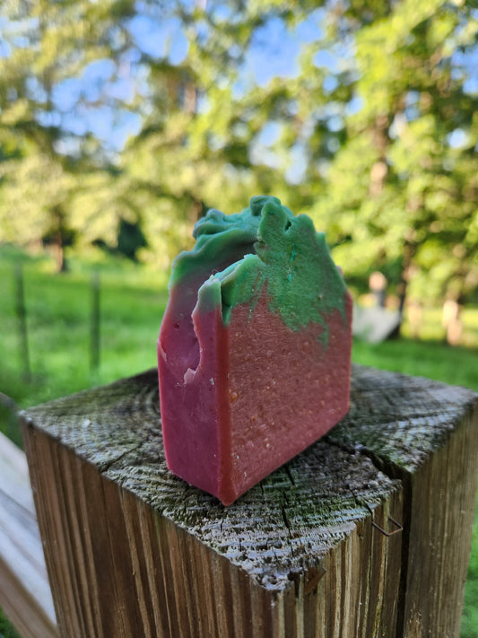 'Raspberry Cordial Summer' Goat Milk Soap