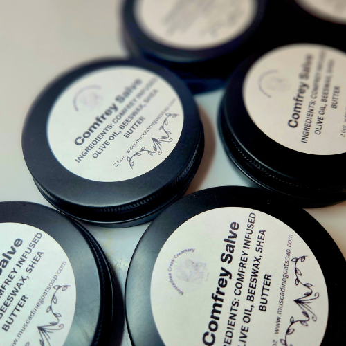 Homegrown Comfrey Salve