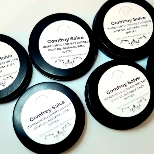 Homegrown Comfrey Salve