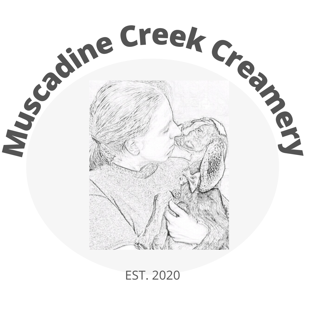 Where did the name Muscadine Creek come from?
