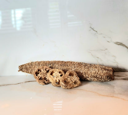 Homegrown Loofah Sponge