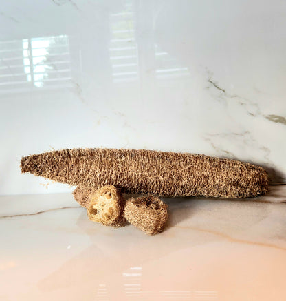 Homegrown Loofah Sponge