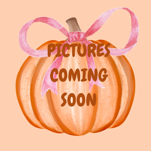 Pumpkin Apple Butter Goat Milk Soap