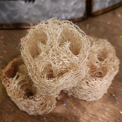 Homegrown Loofah Sponge